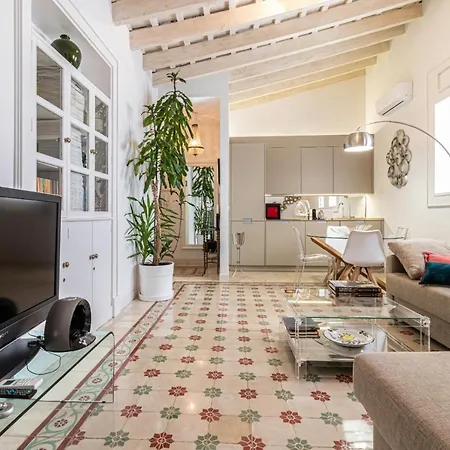 Apartment Casa Palacio Moma - Centro - Parking Opcional